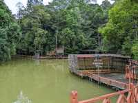 Borneo Tropical Rainforest Resort 