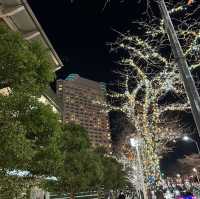 【横浜】みなとみらい桜並木のイルミネーション