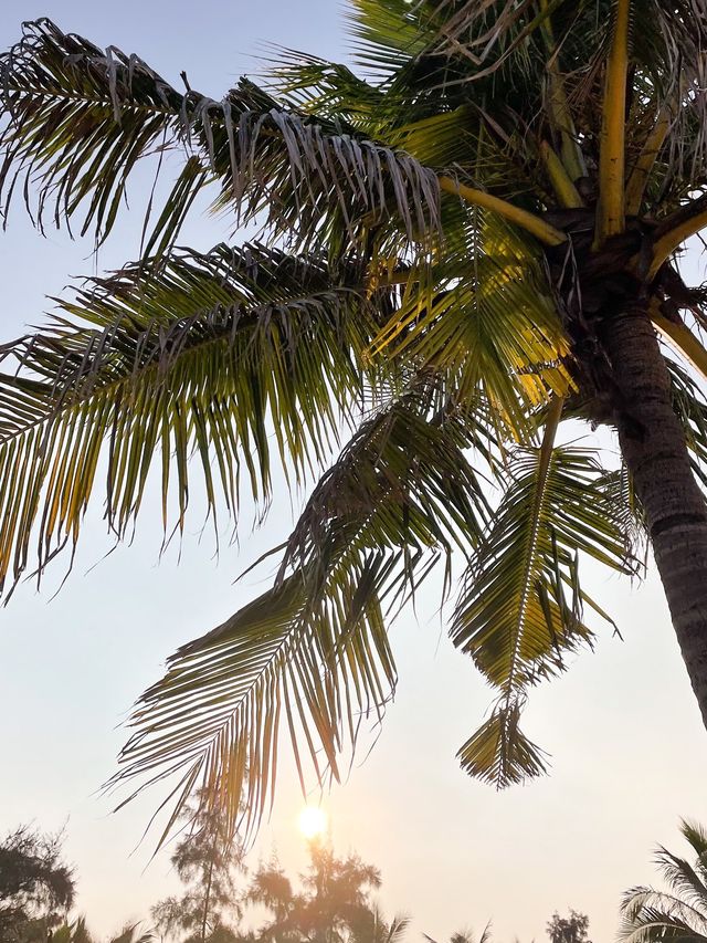 Haikou City beach with tropical vibes 🏝