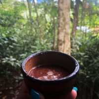 Tirimbina hikes and lodge
