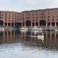 風光如畫的 Royal Albert Dock Liverpool 