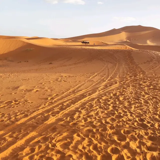 Morocco Sahara Desert Camel Ride