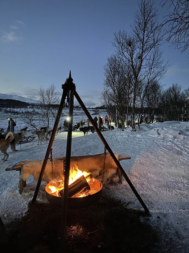 挪威🇳🇴特羅姆瑟雪橇之旅 人生必體驗