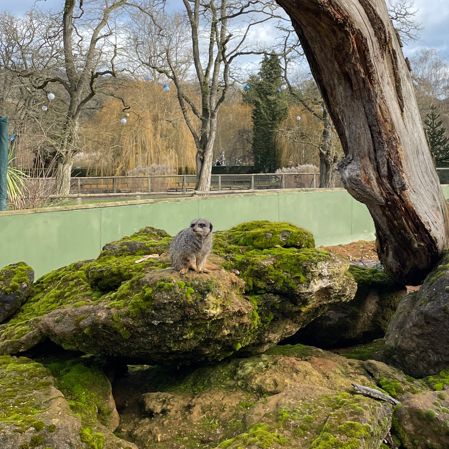 這麼大·那麼凍的Beale Wildlife Park