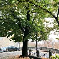 See Autumn Bergamo from City Walls