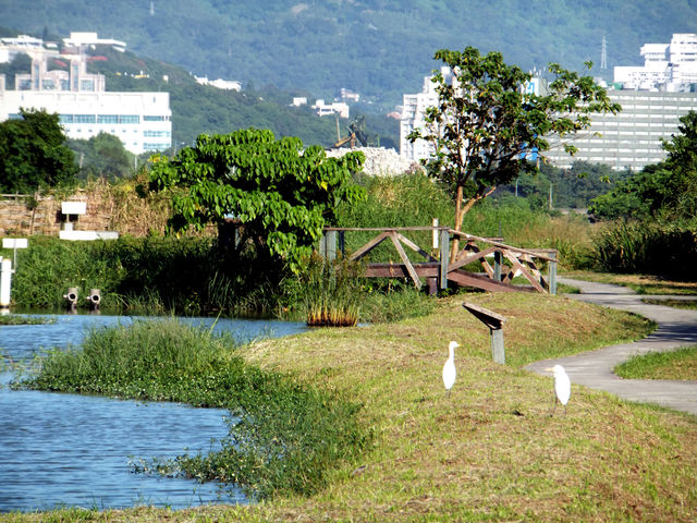 台灣台北｜關渡自然公園