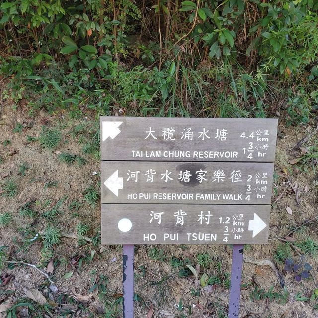 河背水塘 