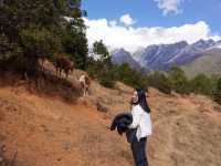 Amazing Lijiang - Enjidi
