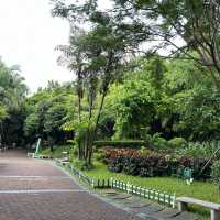 打卡深圳龍華公園