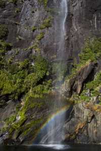 紐西蘭 ｜遊Milford Sound