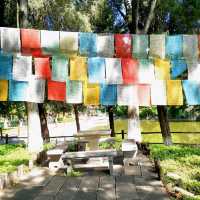 Experiencing the minority cultures of Yunnan