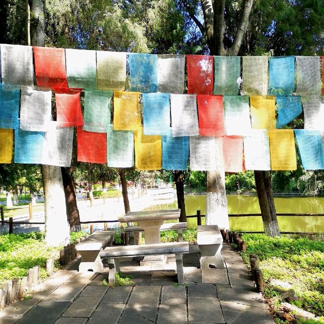 Experiencing the minority cultures of Yunnan