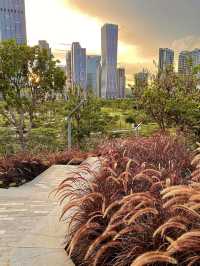 Shenzhen Talent Park 🌾