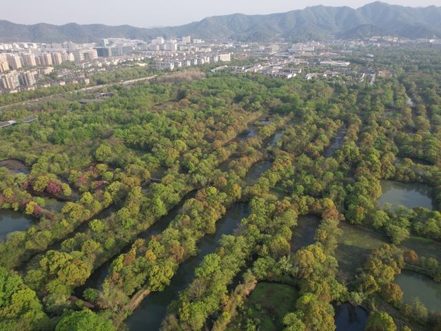 Xixi wetland park in Hangzhou 