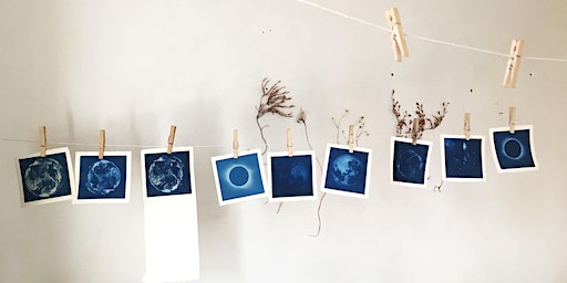 Cyanotype printing with botanical toning | Kings Road Studios