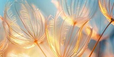 Souffle créatif | La Raffinerie