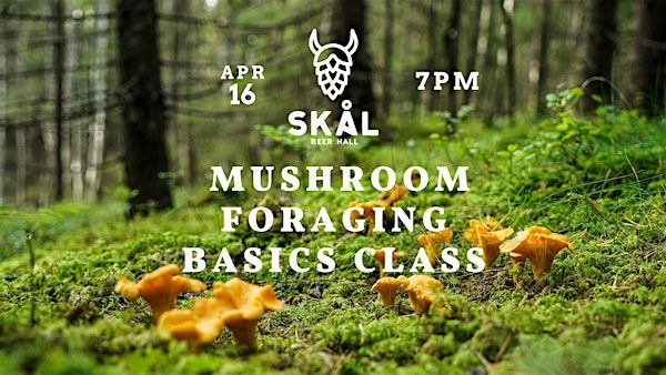 Mushroom Foraging Class - Learn the Basics! | Skål Beer Hall
