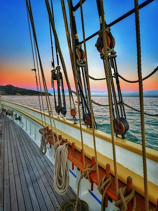 San Francisco Bay and Sausalito Sunset  Sail | Bay Model Visitors Center