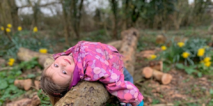 Wild Kids: Forest weekday fun for 8-11 yr olds (ECC 2801) | Foxburrow Nature Reserve