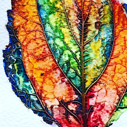 Eco Arts Book Club | Canopy Studios