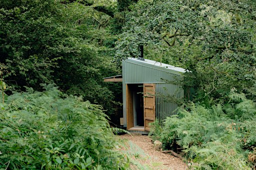 Forest Fitness at Cabilla | CABILLA CORNWALL