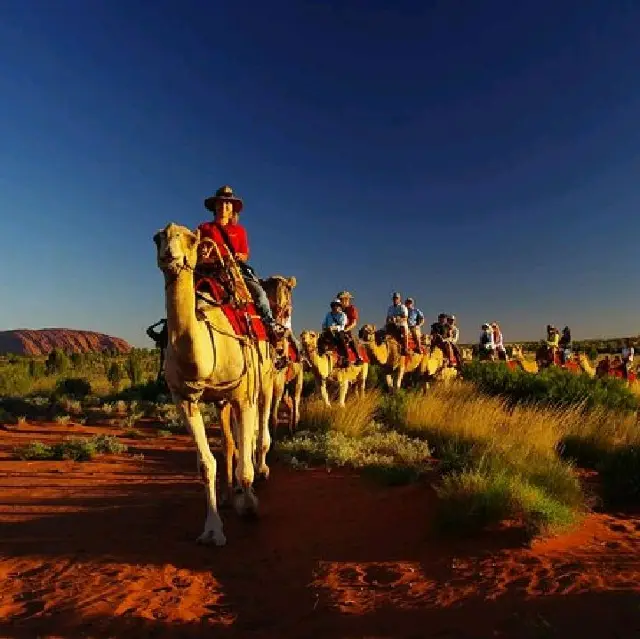 Small-Group Tour by Camel at Sunrise or 