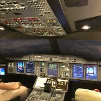 Emirates Aviation Experience