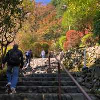 高尾山賞紅葉🍁之旅