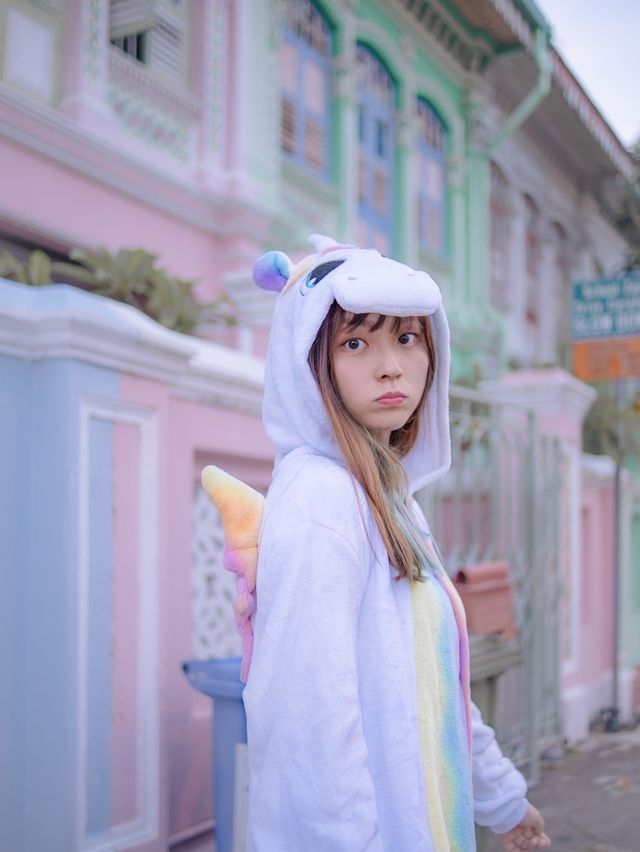 Joo Chiat Peranakan Houses