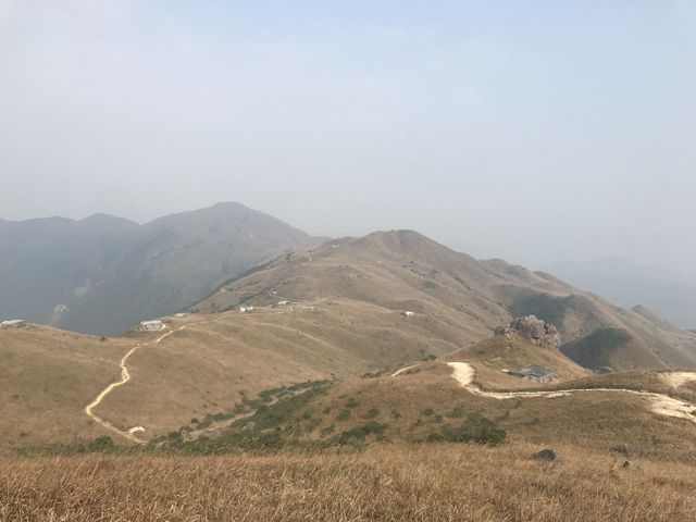 秋季芒草行🌾🌾 秋季芒草行🌾🌾