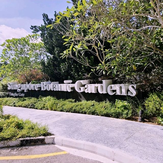 Singapore Botanical Gardens 