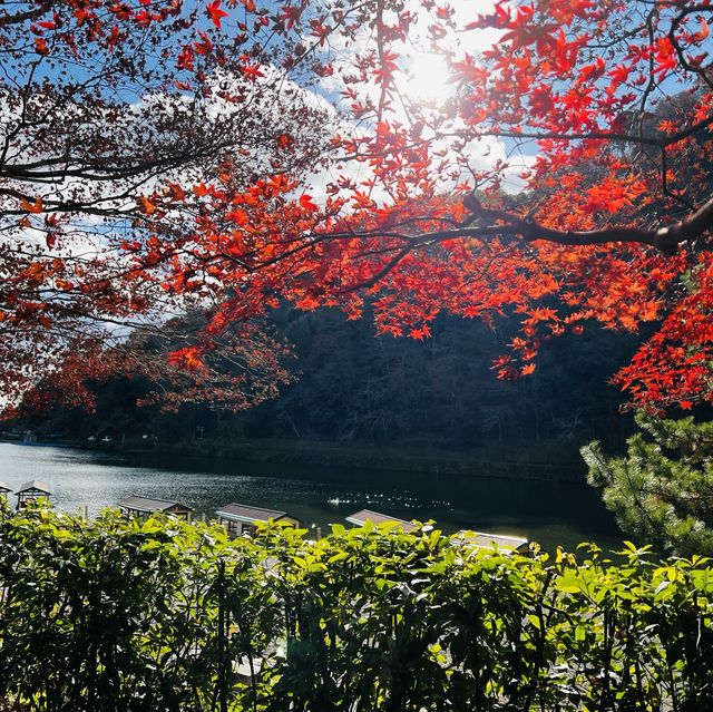 嵐山の紅葉を存分に楽しめた！