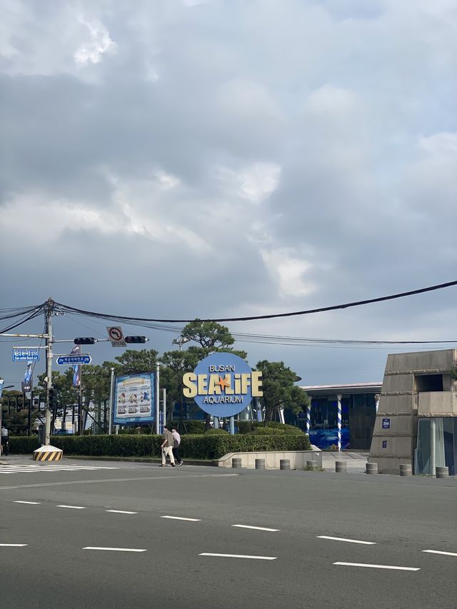 사진 찍기 좋은 부산 최고의 아쿠아리움 ‘씨라이프 아쿠아리움’