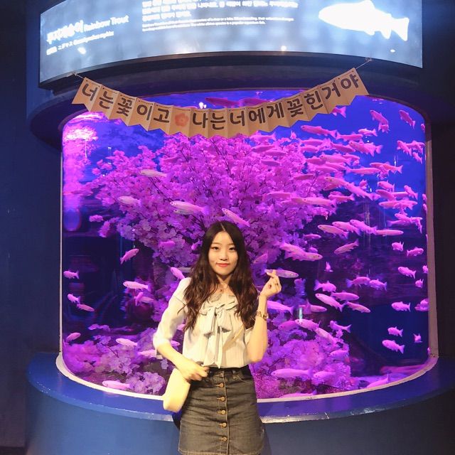 벨로가를 볼 수 있는 아쿠아플라넷 여수🐬
