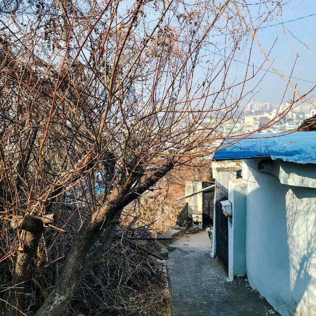 요즘뜨는 대전 여행지 대동하늘공원