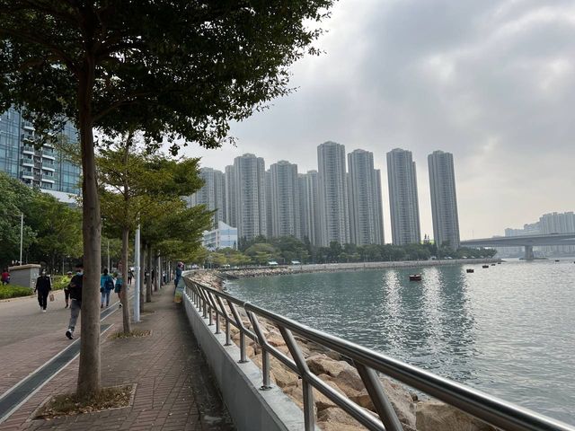 荃灣海旁 假日休憩