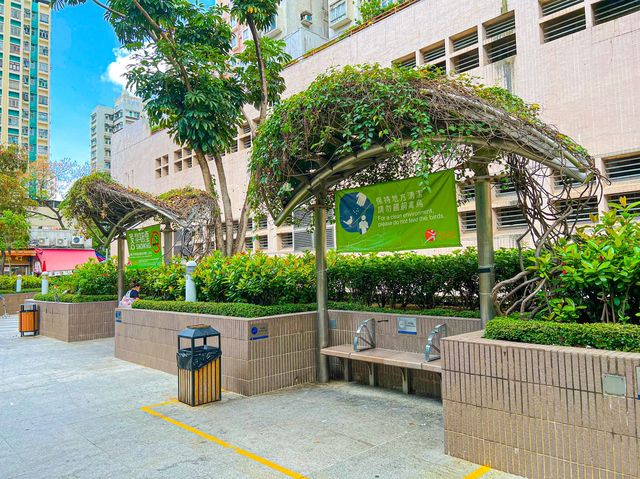 昂首挺胸 元朗賽馬會廣場