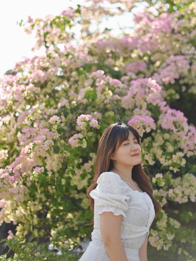 香港打卡|粉嶺隱世打卡 附路線攻略🌸🌿 香港打卡|粉嶺隱世打卡 附路線攻略🌸🌿
