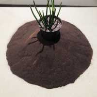 ☕️Nespresso 2022未來花園永續體驗展｜松菸文化園區🌿🌱