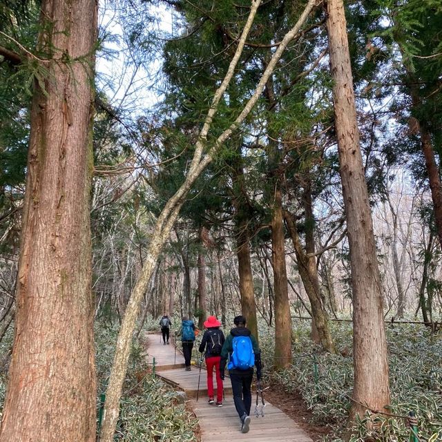 #봄여행 으로 떠난 제주도 한라산 백록담 (feat.성판악코스)