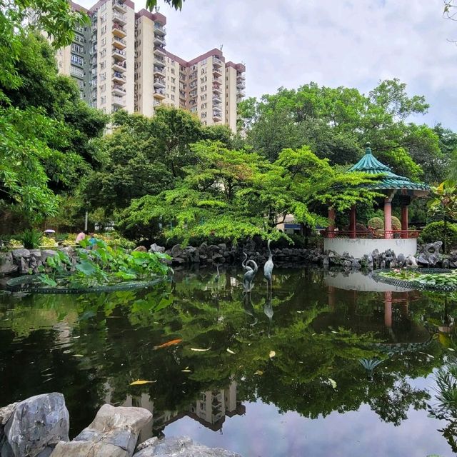 香港好去處 ～ 荔枝角公園 