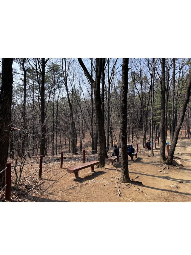 요즘 야외활동에 딱 어울리는 곳, ⛰광교산⛰ 
