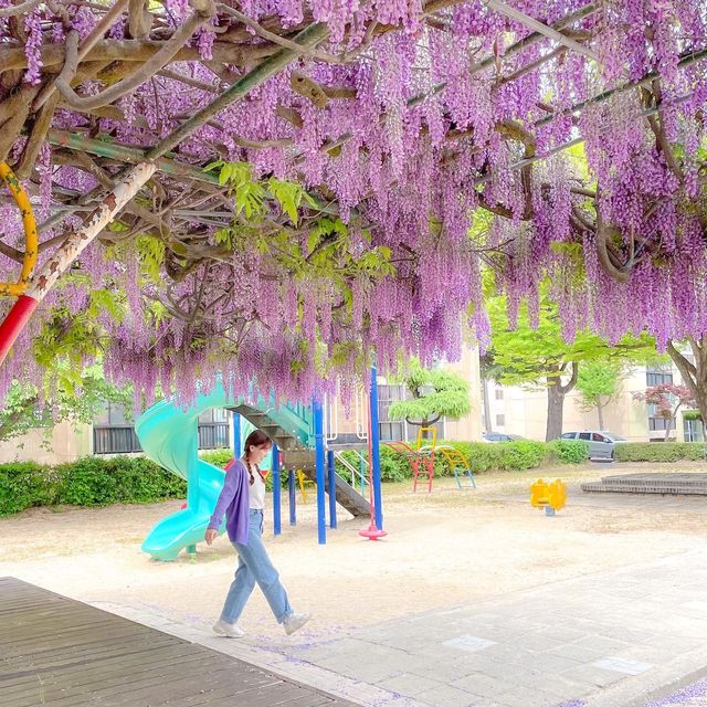 🛝내가 본 놀이터 중 1등은 여기💜