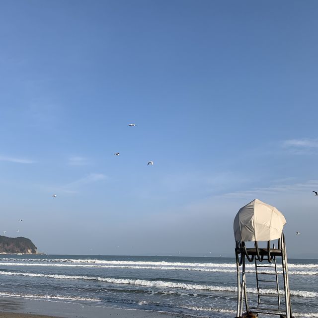 청량한 바다를 만나고 싶다면, 포항 ‘영일대 해수욕장’