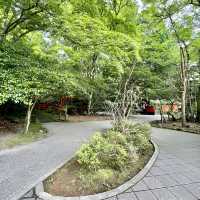 箱根神社でフィトンチッドシャワーを🌲