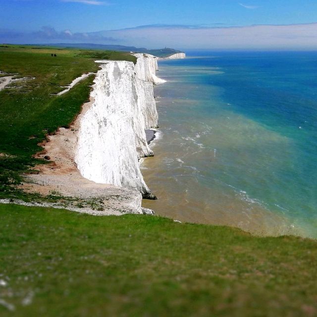 A Nature Lover's Paradise 🦋🌿🐑🐞🍀