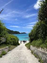 沖縄 渡嘉敷島🌴