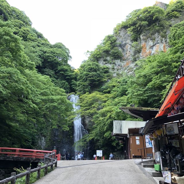 Upclose with Minoo Falls