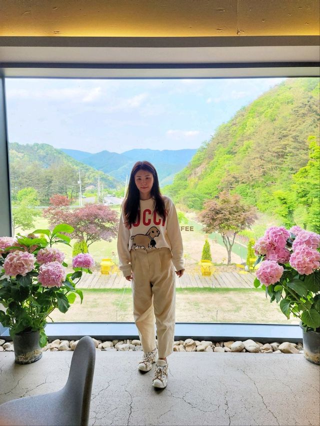 사계절 모두 아름다운 폭포뷰 청도카페 로카커피🏡
