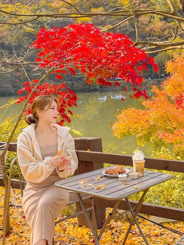 공주-엔학고레
